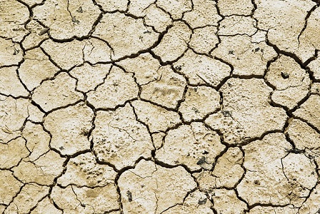 Indigenous Coping Strategies to Drought