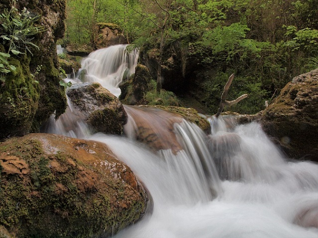 The Story of Water
